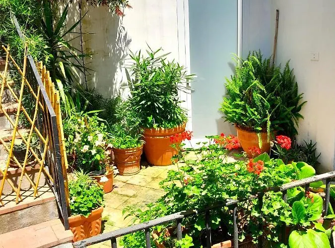 Casa Marina Bed & Breakfast Forio 