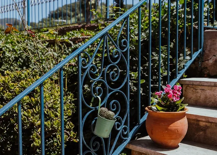 Lemon Tree Rooms Barano d'Ischia