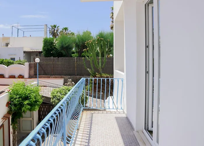 Pet friendly Hotel Cesotta Forio 