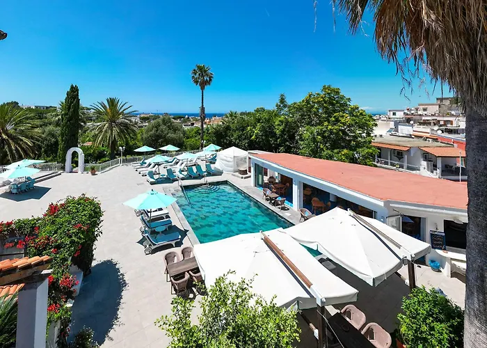 Ischia Island Dog Friendly Lodging and Hotels