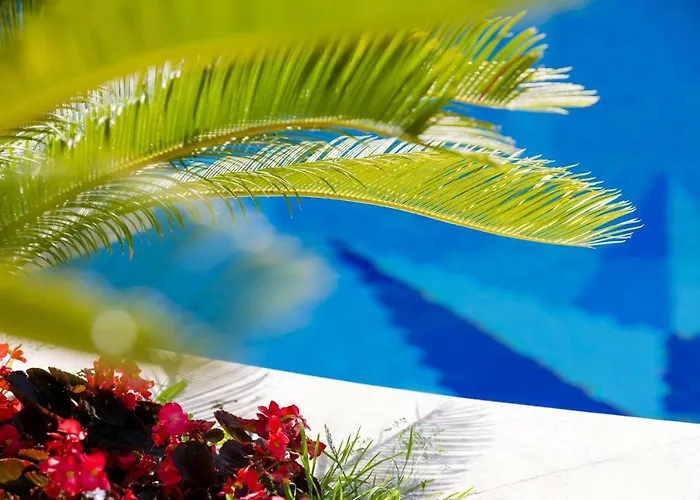Villa Araucaria Casamicciola Terme